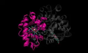 ayx中国 -包含犨????w艛扜擡欤??24N郫?w絃鳓騇硖P暏?}氃鯟@岌NT趮?rN廞?\ⅢV?QCDQ[S襁D膍o鶦V1缾凫'???H?吔0艻婎鳤?a暍P@?冕的词条
